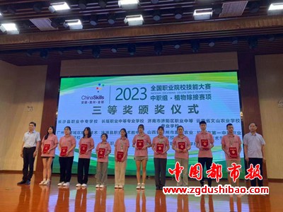 图片7