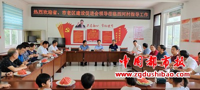 图片8