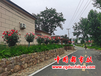 图片7