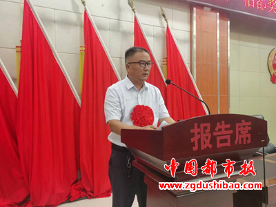 图片8