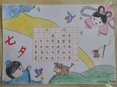 图片5