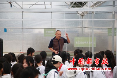 图片43
