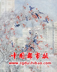 微信图片_20231127174443