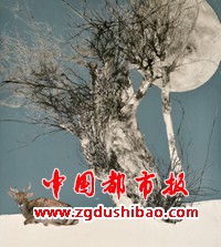 微信图片_20231127174633