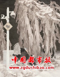 微信图片_20231127174640
