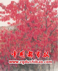 微信图片_20231127174647