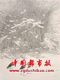 微信图片_20231127174701