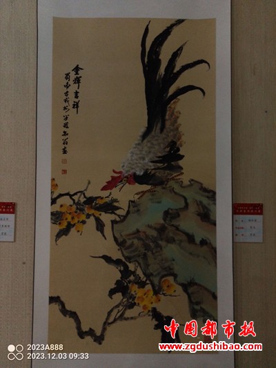 图片7