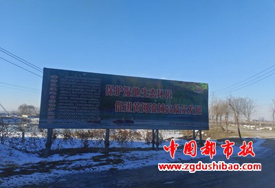 图片12