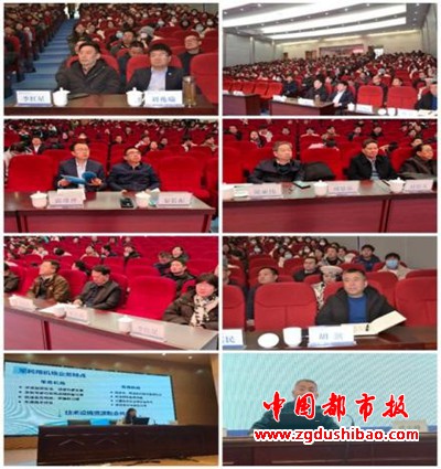 图片19