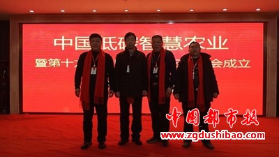 图片3