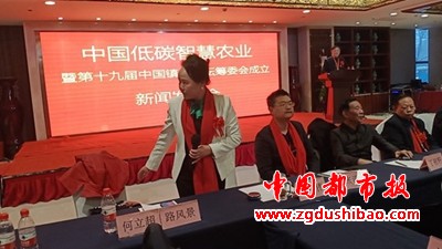 图片9