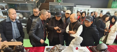 图片8