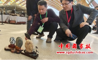 图片9