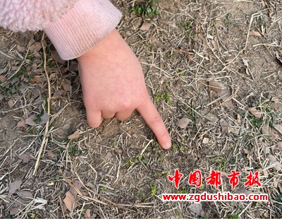 图片17