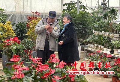 图片10