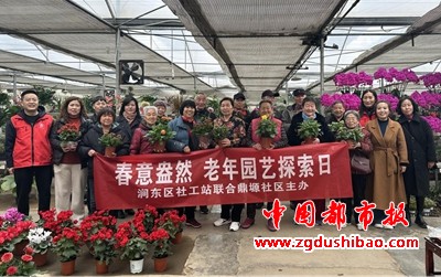 图片11