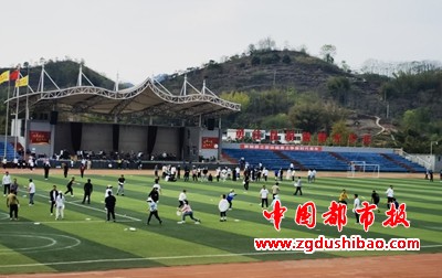 图片5