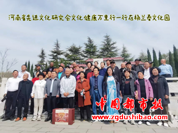 图片11