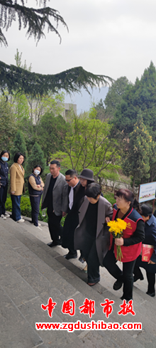 图片12