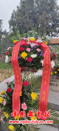 图片15