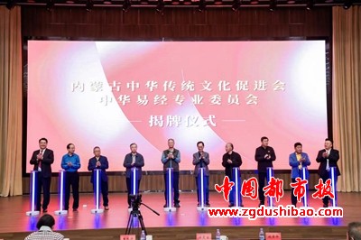 图片7