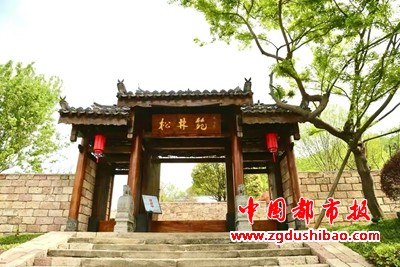 图片11