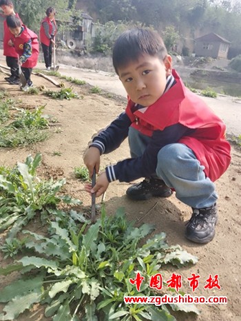 微信图片_20240420195424