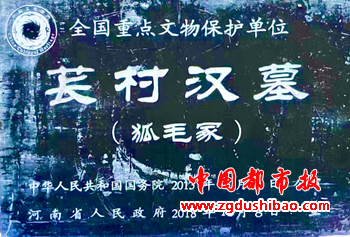 图片7