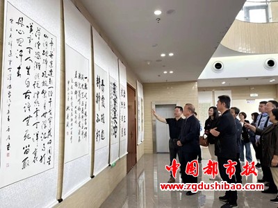 图片6