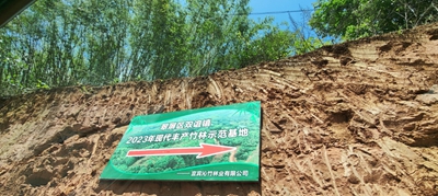 图片7