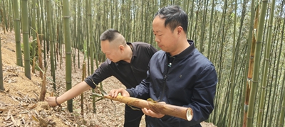 图片8
