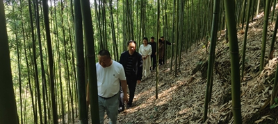 图片9
