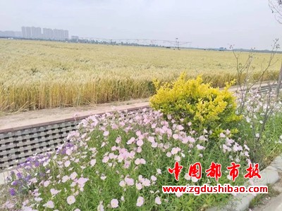 微信图片_20240522083246