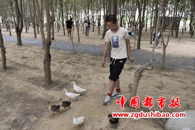 图片12