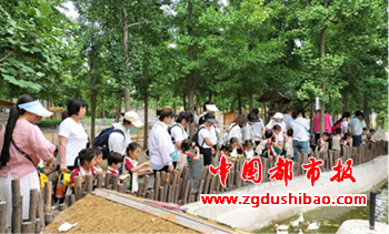 图片56