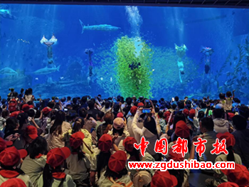 图片71