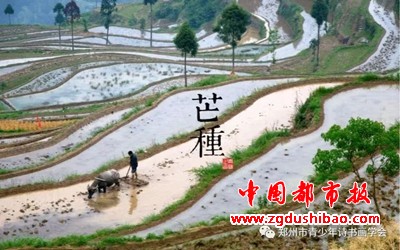 微信图片_20240606193810