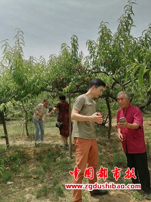 图片5