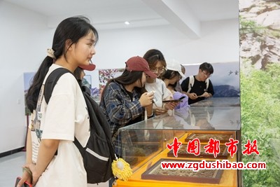 微信图片_20240628093009