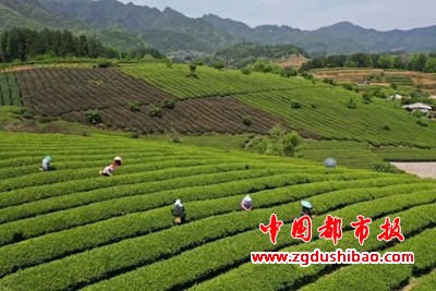 图片26