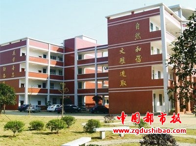 图片71