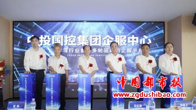 图片11