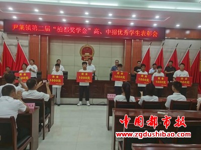图片8