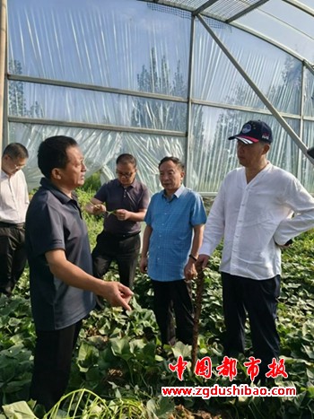 微信图片_20240831143918_副本