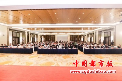 图片6