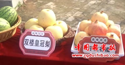 图片33