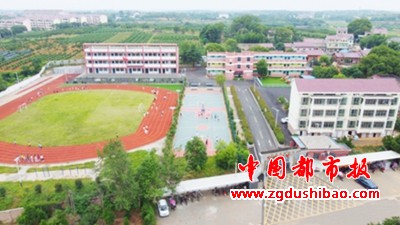 图片5