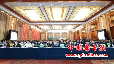 图片21