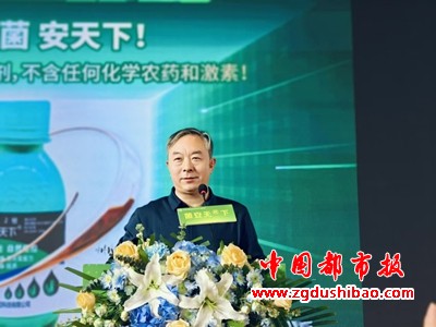 图片26